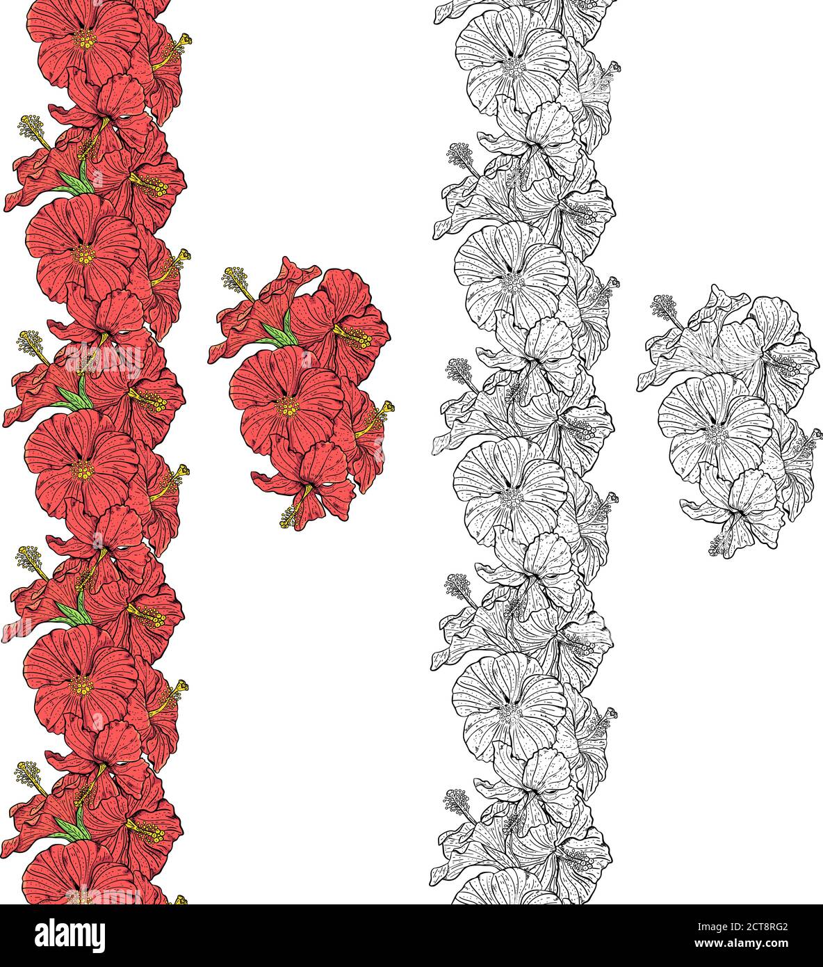 Border of hibiscus flowers in vector Stock Vector Image & Art - Alamy