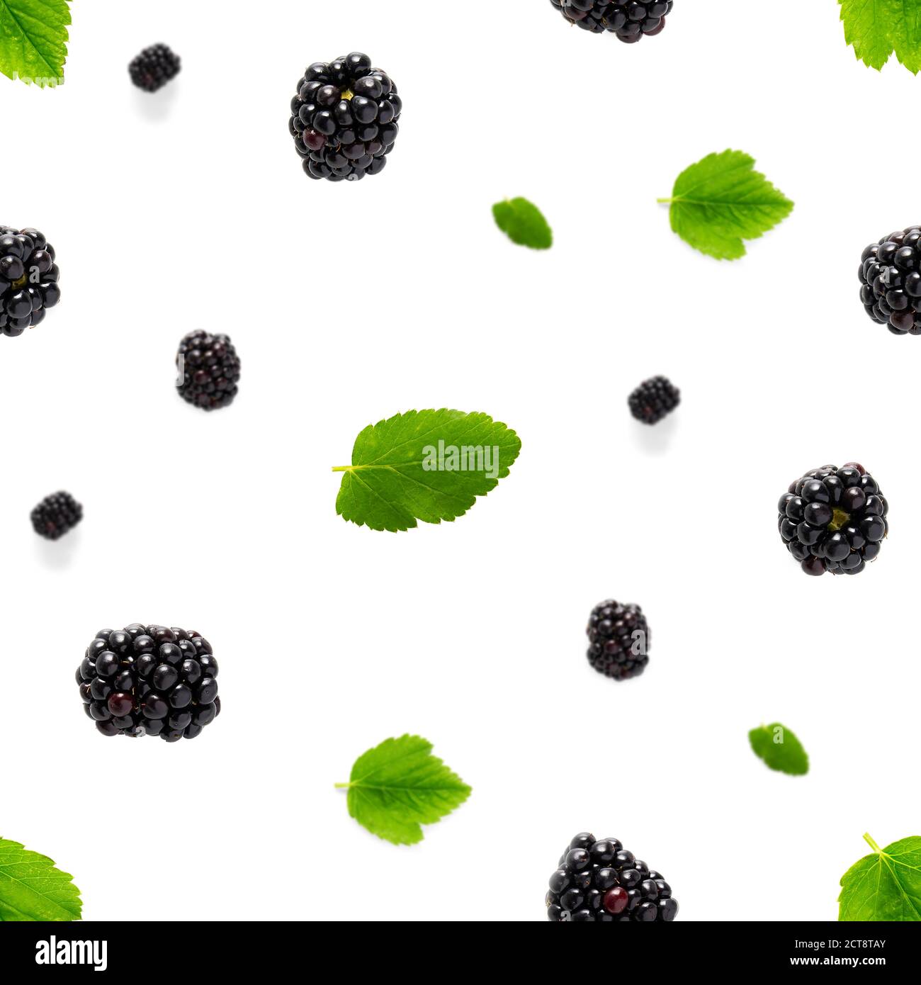 Falling Bramble Seamless pattern. Fresh Falling blackberry seamless pattern. Pattern with fresh wild berries isolated on white background. Stock Photo