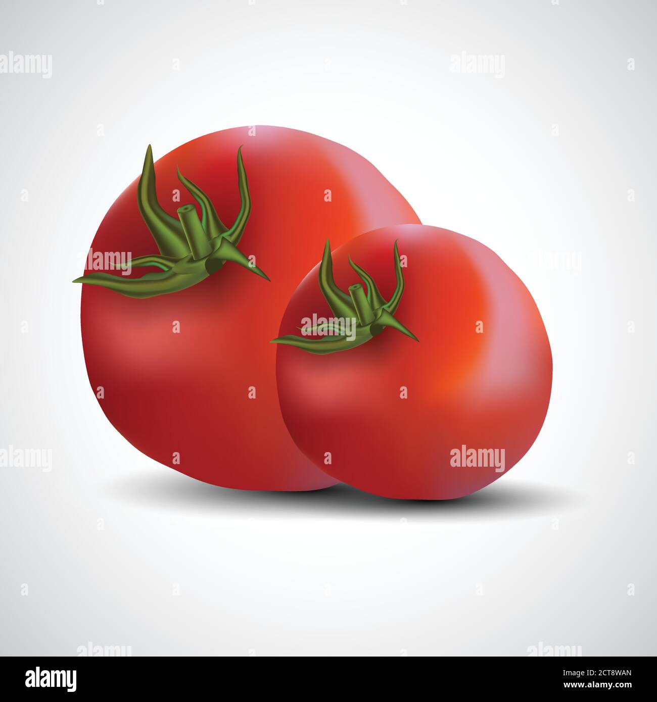 fresh tomatoes isolated white background. vector illustration Stock Vector