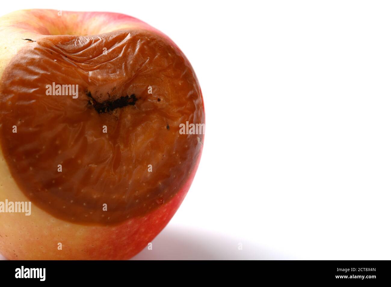 badly rotten apple on a white background with copy space Stock Photo ...
