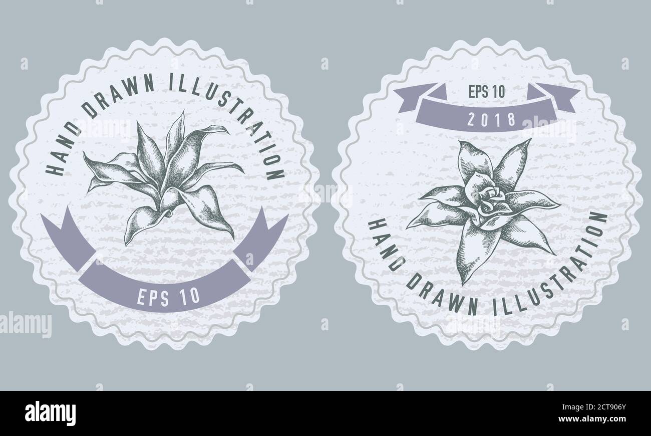 Guzmania Stock Vector Images - Alamy