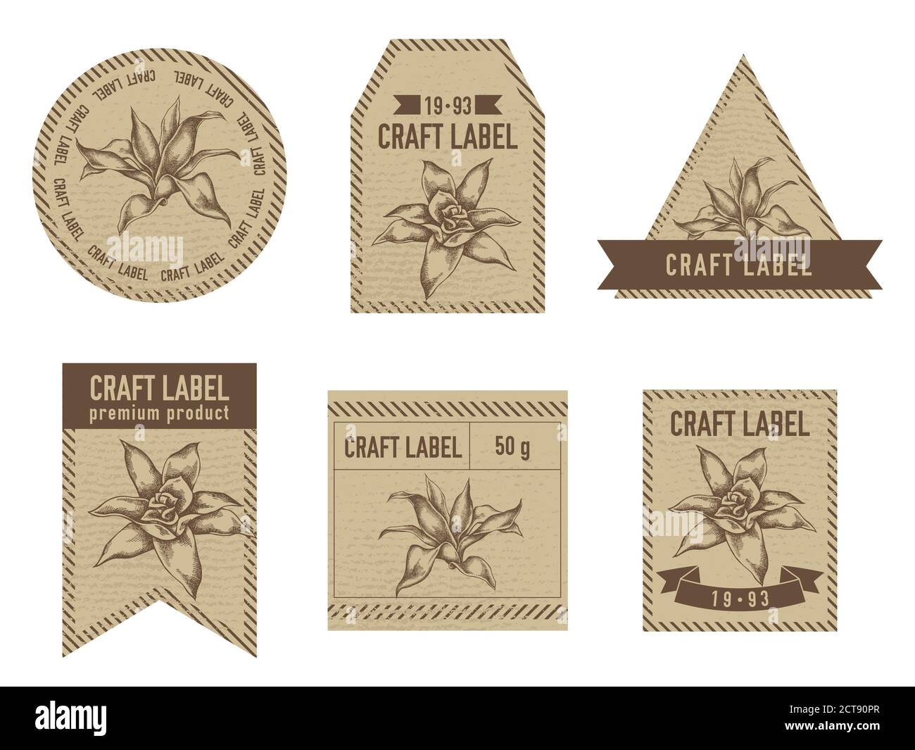 Craft labels vintage design with illustration of guzmania Stock Vector ...