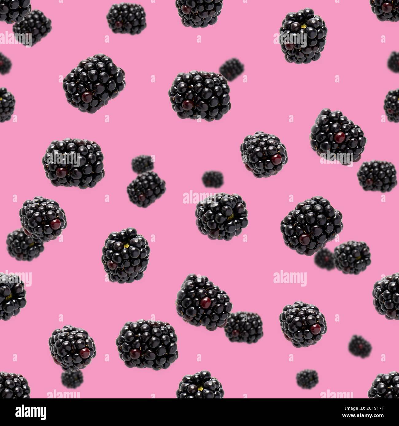 Falling Bramble Seamless pattern. Fresh Falling blackberry seamless pattern. Pattern with fresh wild berries isolated on pink background. Stock Photo