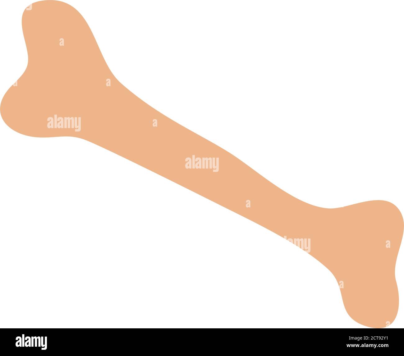 human bone body part icon flat style vector illustration Stock Vector