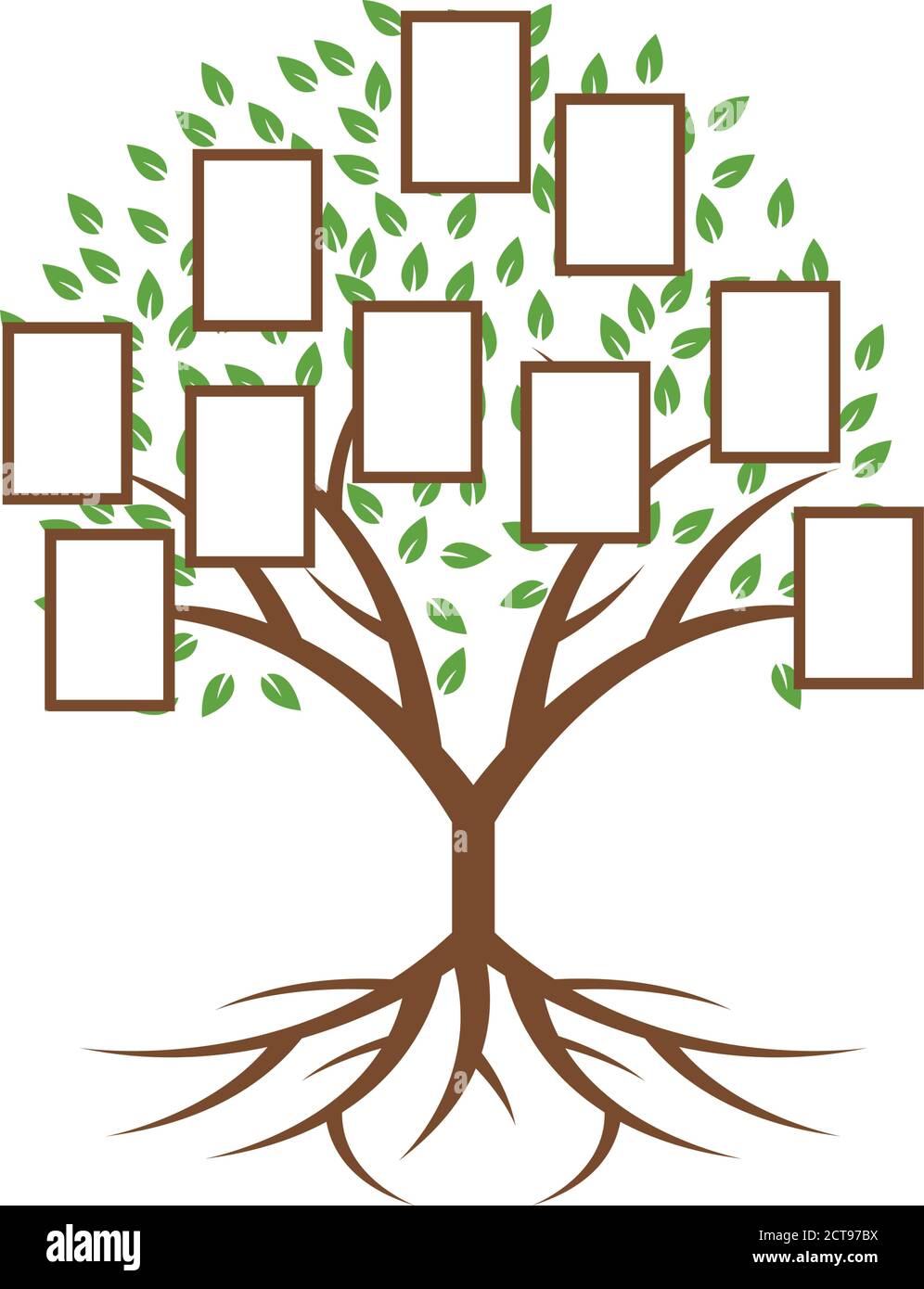 Family Tree Genealogy Vector High Resolution Stock Photography and