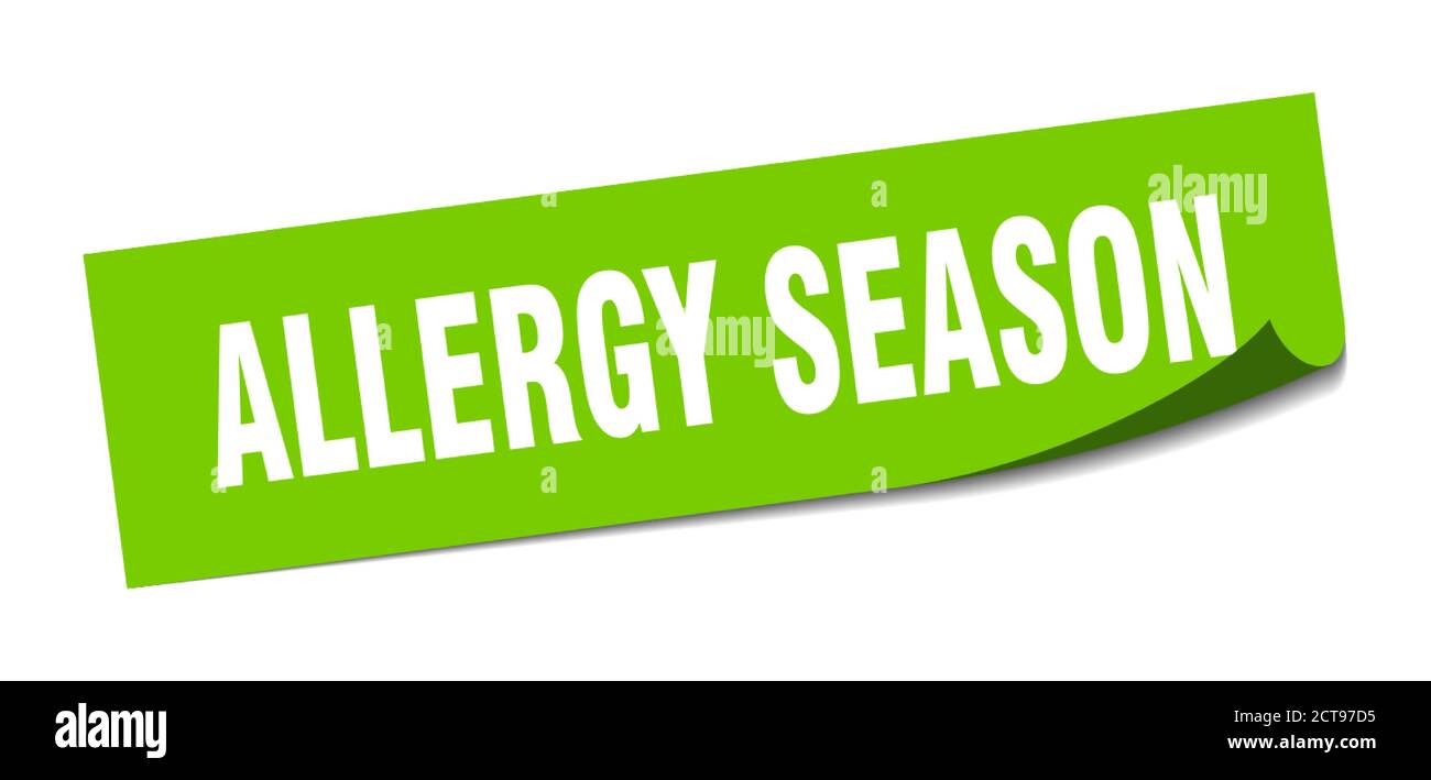 allergy season sticker. square isolated peeler sign. label Stock Vector ...