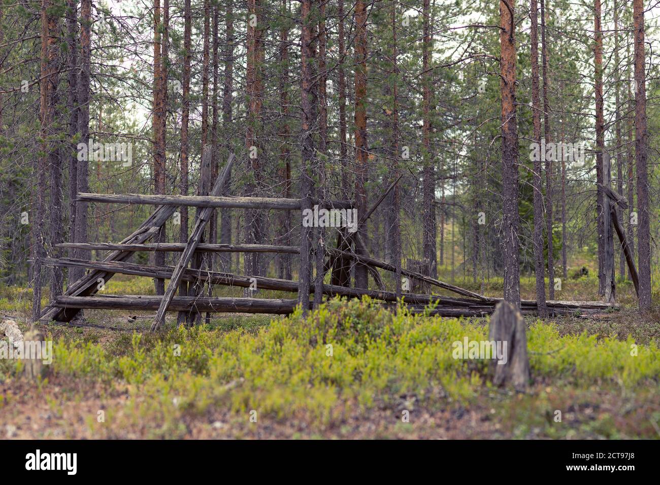 Reindeer fence hi-res stock photography and images - Alamy