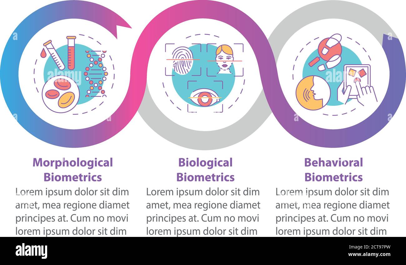 Biometrics types vector infographic template Stock Vector Image & Art ...