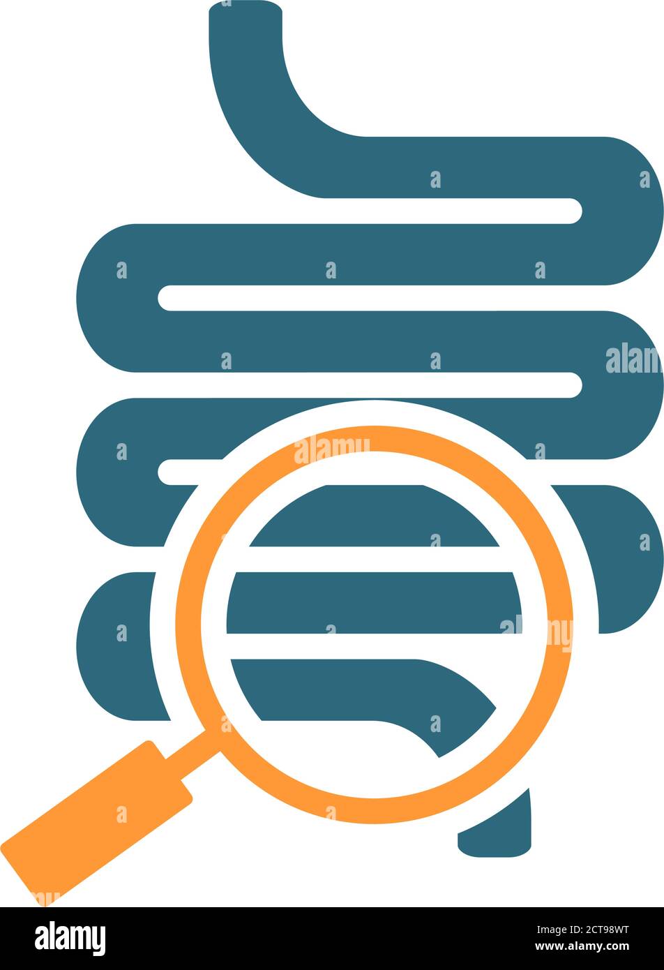 Intestine with magnifying glass colored icon. Organ research, analyzes ...