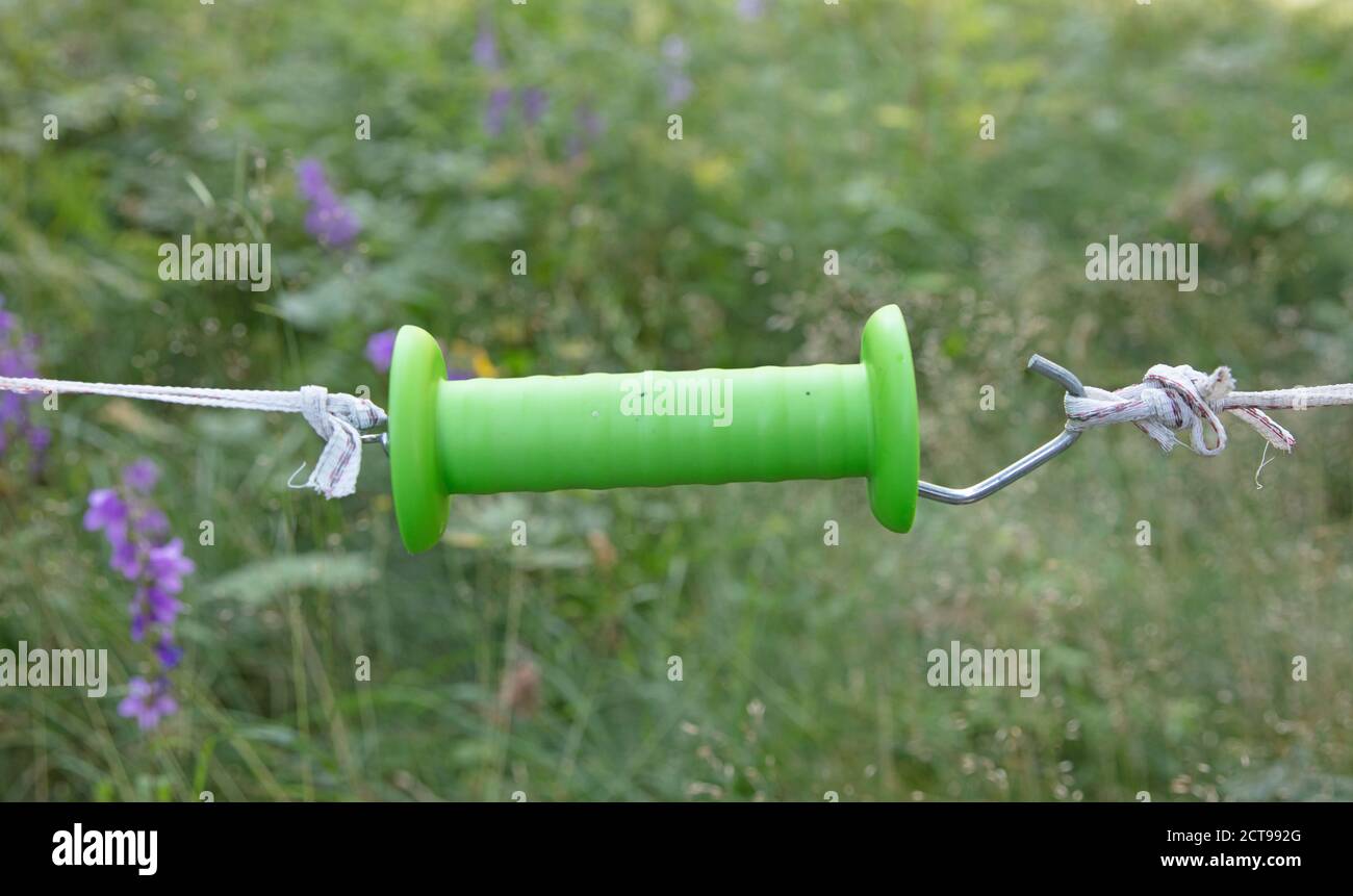 Closeup of an electric fence, used by farmers Stock Photo Alamy