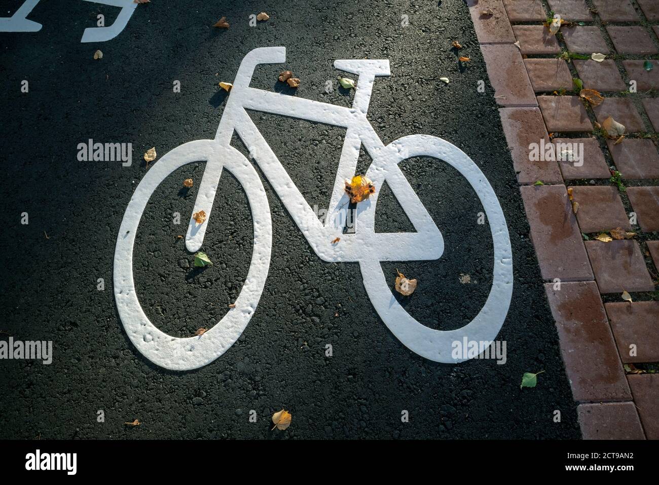 White bicycle symbol on the black tarmac Stock Photo
