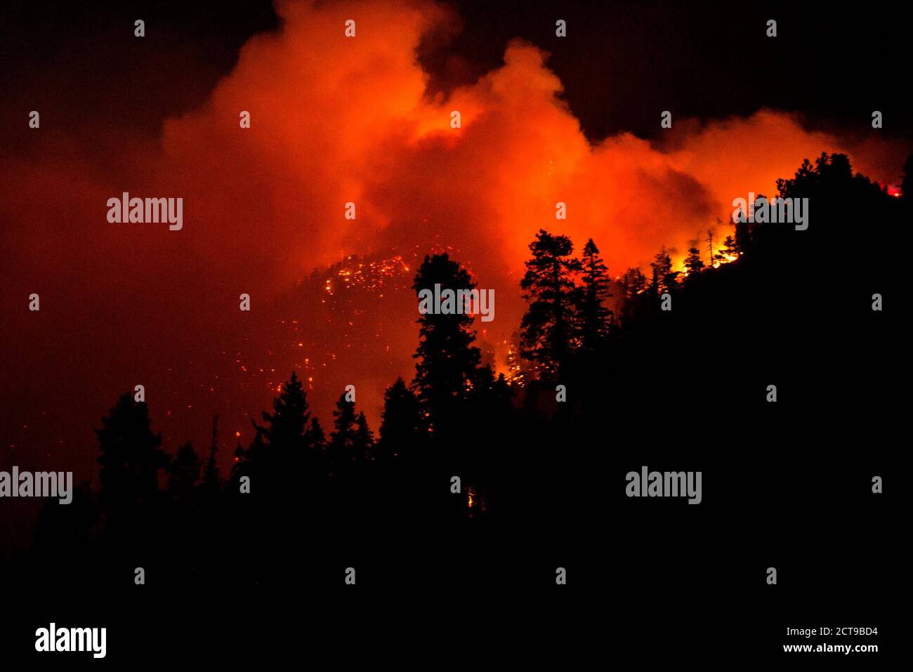 Los Angeles, California, USA. 21st Sep, 2020. The Bobcat Fire burns in the Angeles National Forest in Los Angeles, Monday, Sept. 21, 2020. Credit: Ringo Chiu/ZUMA Wire/Alamy Live News Stock Photo