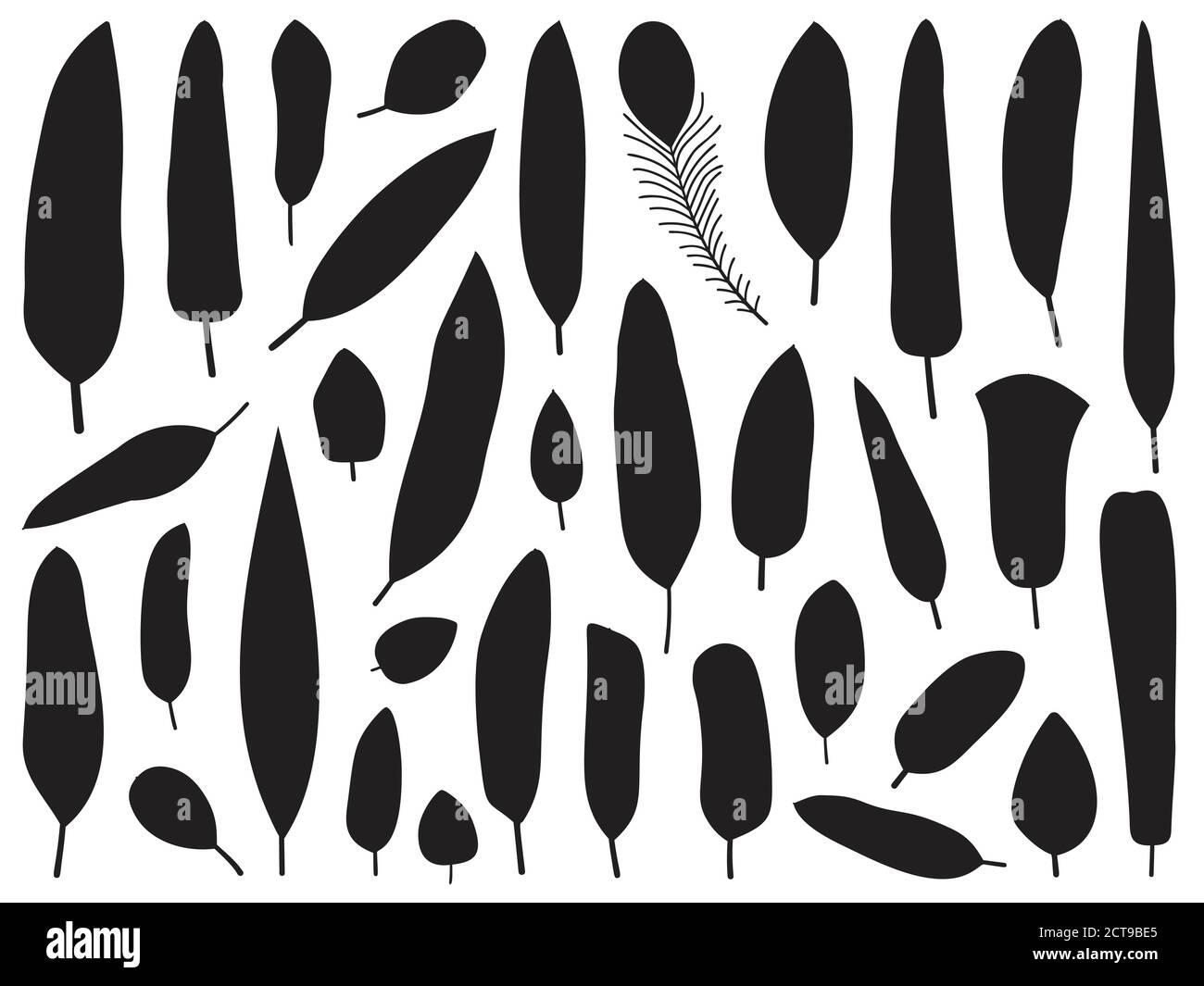 Black and White Bird Feather Silhouettes Stock Vector Image & Art - Alamy