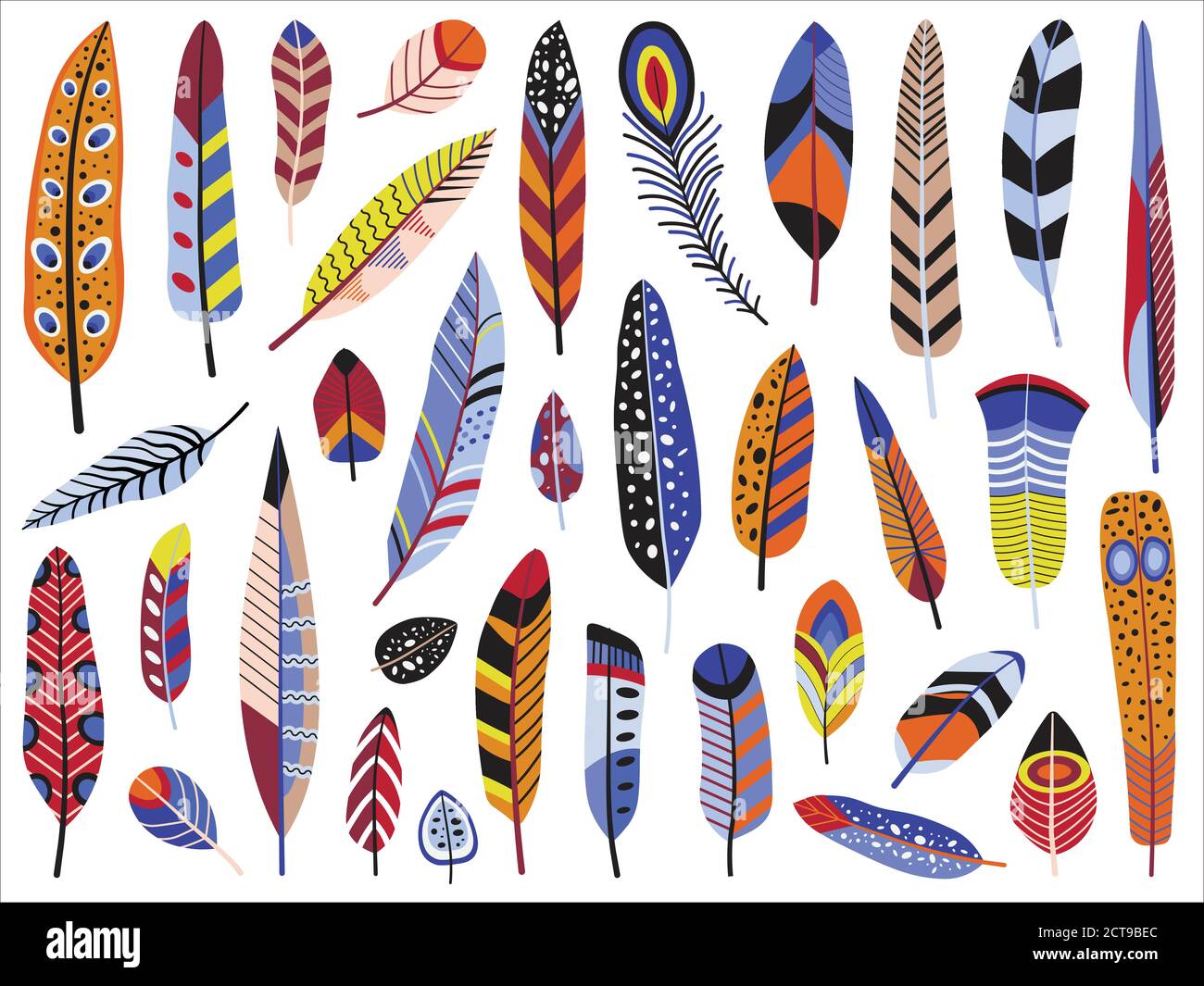 Colorful Bird Feather Set in Flat Design Stock Vector