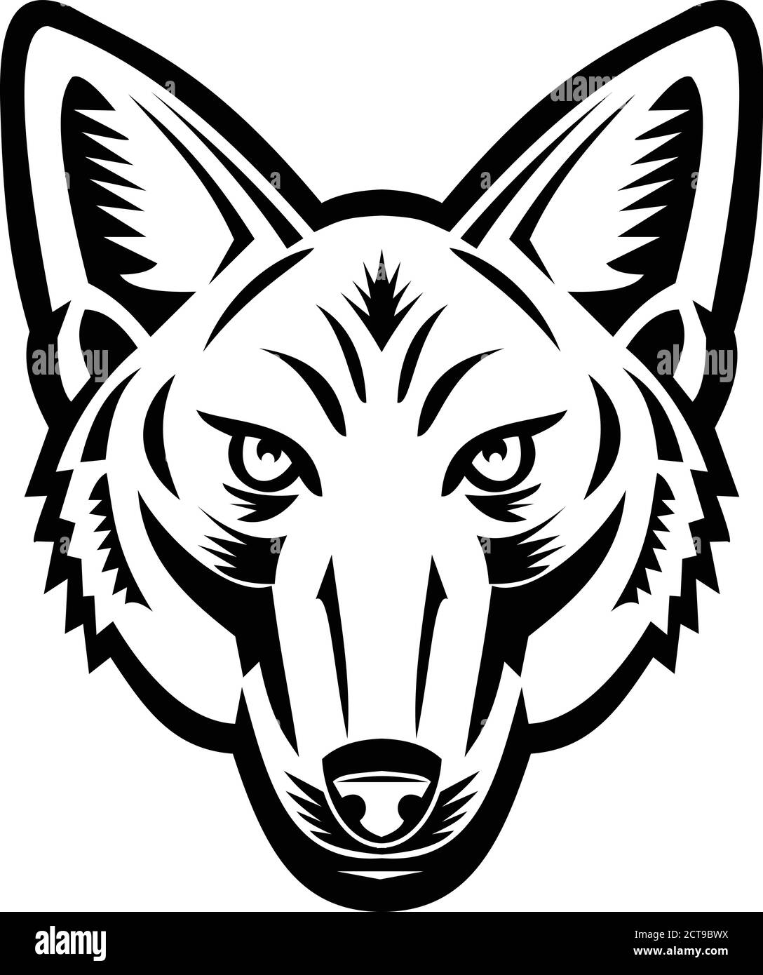 Mascot black and white illustration of head of a Jackal or sometimes called American jackal viewed from front on isolated background in retro woodcut Stock Vector
