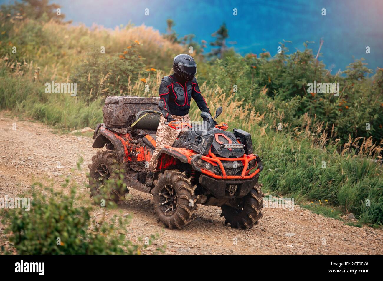 ATV bike rides through forest off-road in trip summer Stock Photo - Alamy