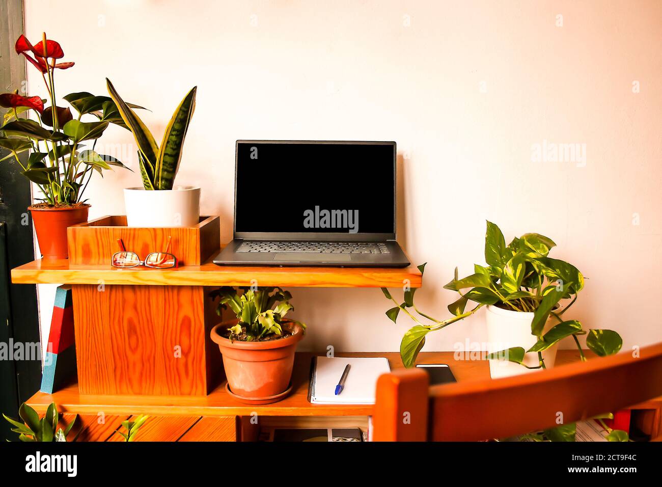 Green space desk decor with some natural plants to create a mindset and chilling work environment Stock Photo