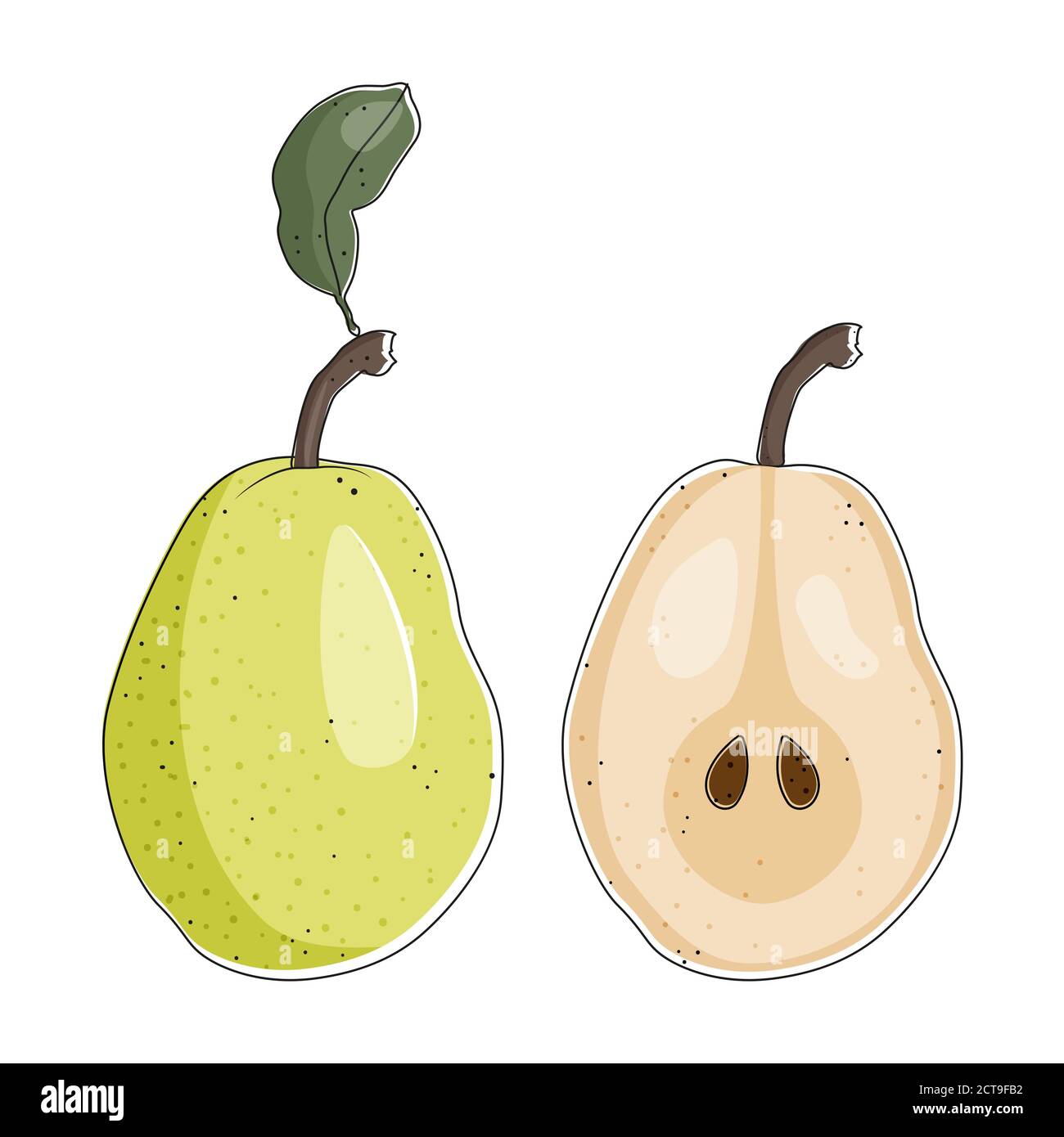 Green pear whole and cut isolated on white background, vector ...