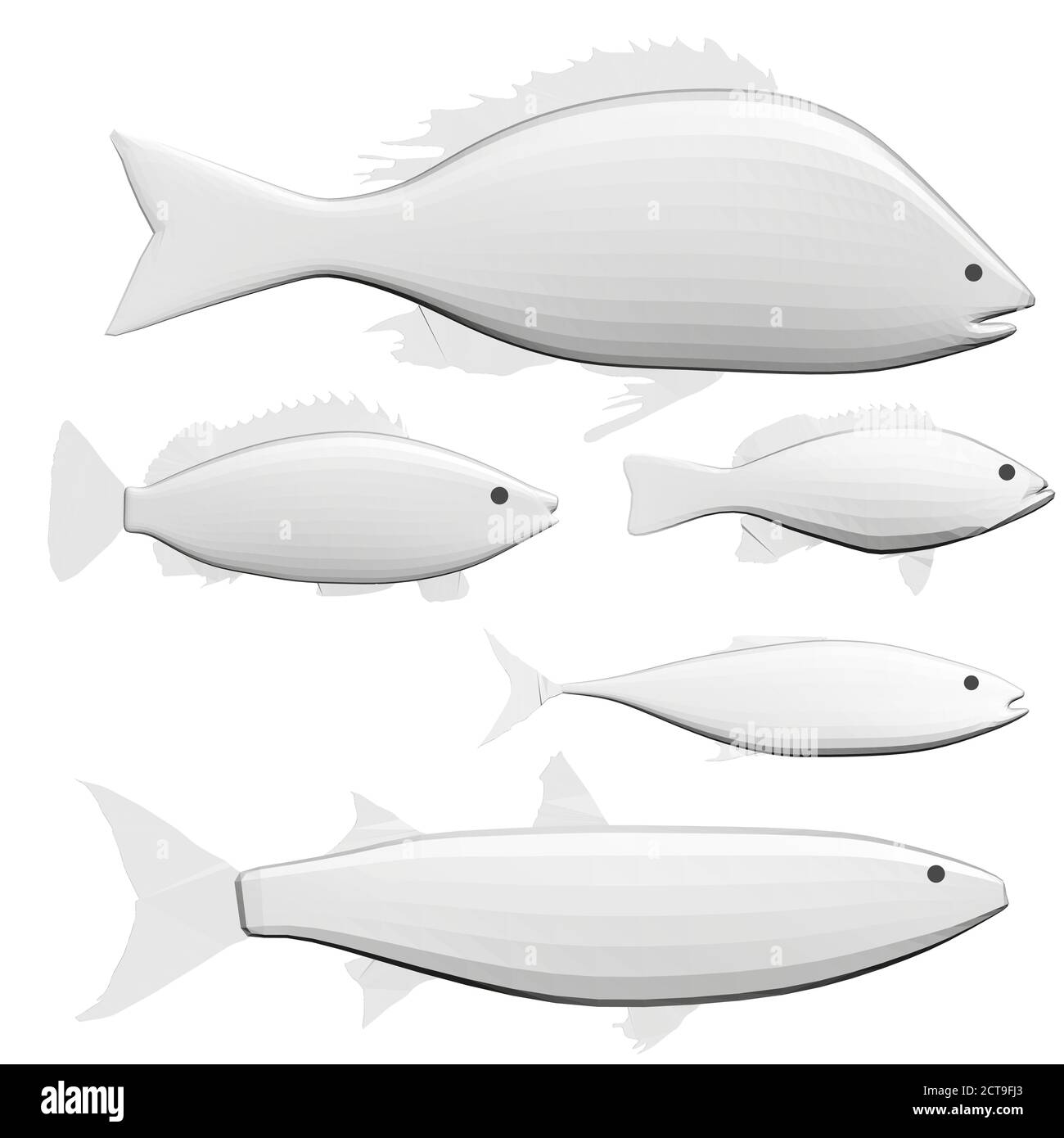 Fish Shape Diagonal Set with polygonal diverse fishes isolated on a white background. 3D ...