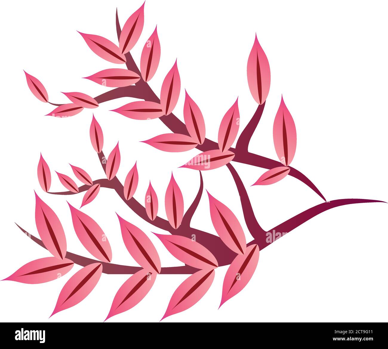 Chinese Leaf Branch High Resolution Stock Photography and Images - Alamy