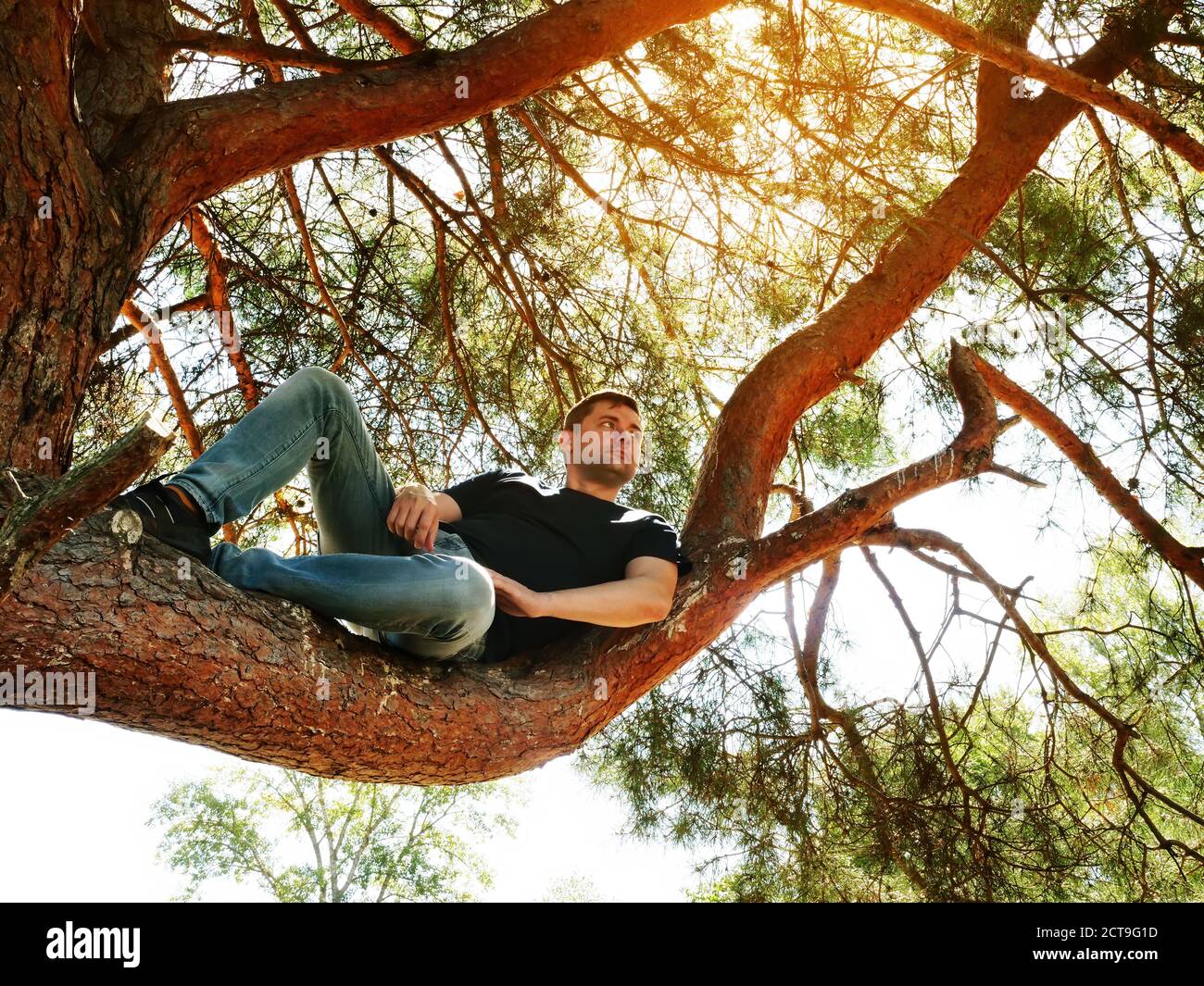 The guy looks around while sitting on a tree in the summer forest. Activities and rest. Stock Photo