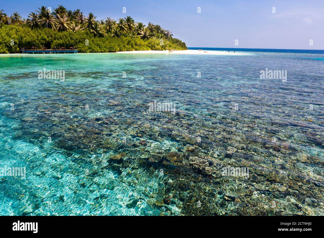 Maledives, Nord-Male-Atoll, Aisen, corals in front of the island Stock Photo