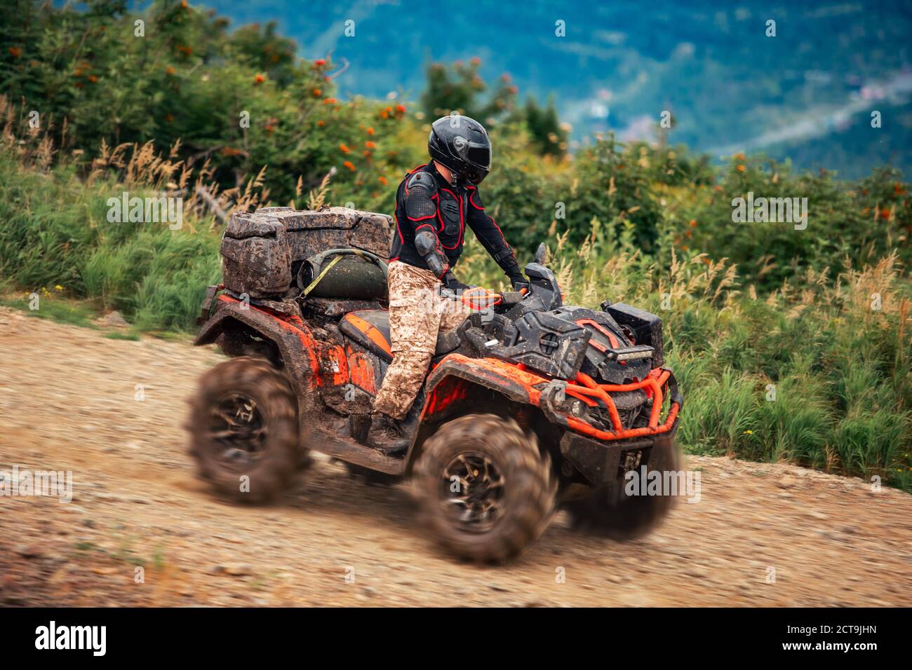 ATV rider rides through forest offroad in summer Stock Photo Alamy
