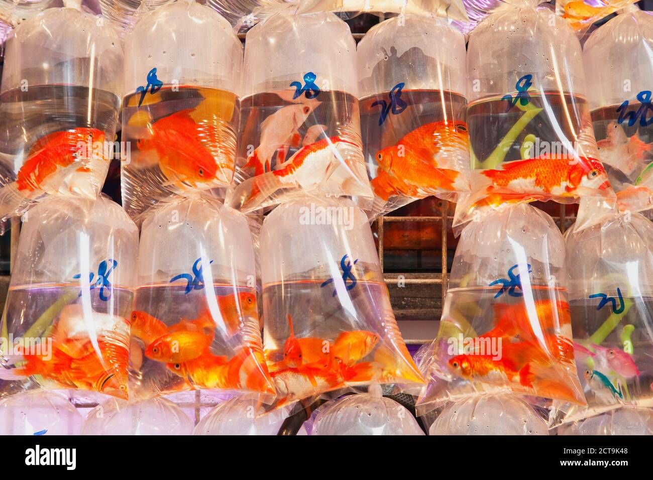 China plastic bags hires stock photography and images Alamy