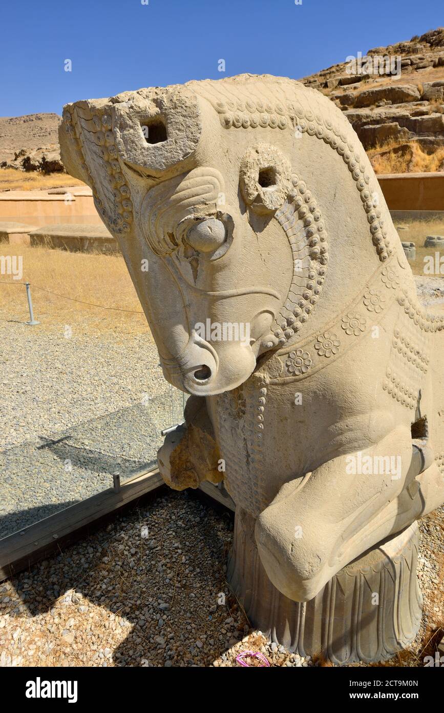 Iran, Persepolis, view to bull capitel Stock Photo