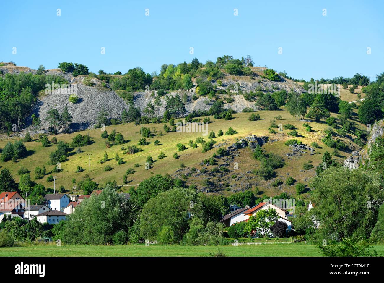 Germany, Bavaria, Juniper heathlands near Moernsheim Stock Photo