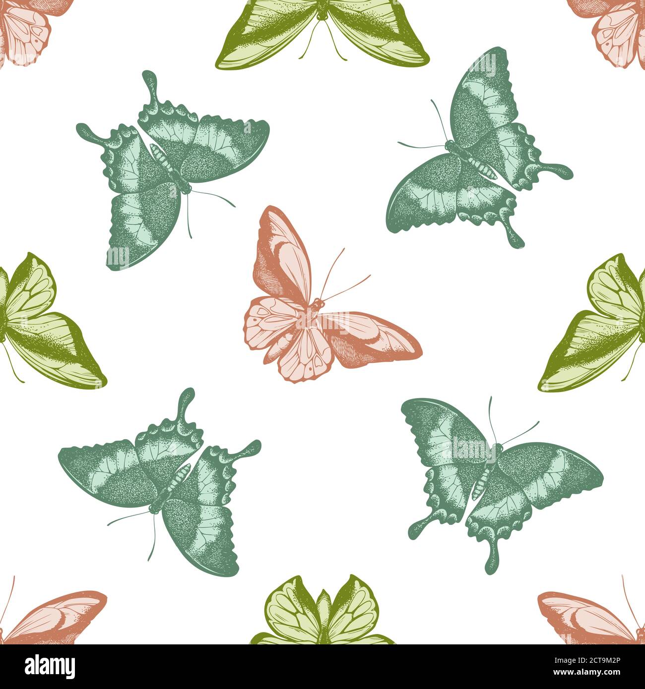 Seamless pattern with hand drawn pastel wallace's golden birdwing, emerald swallowtail, swallowtail butterfly Stock Vector