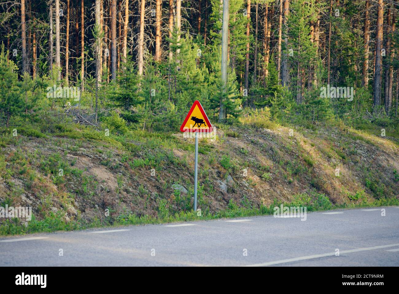 Sweden, Jokkmokk, Elk crossing road sign at country road Stock Photo