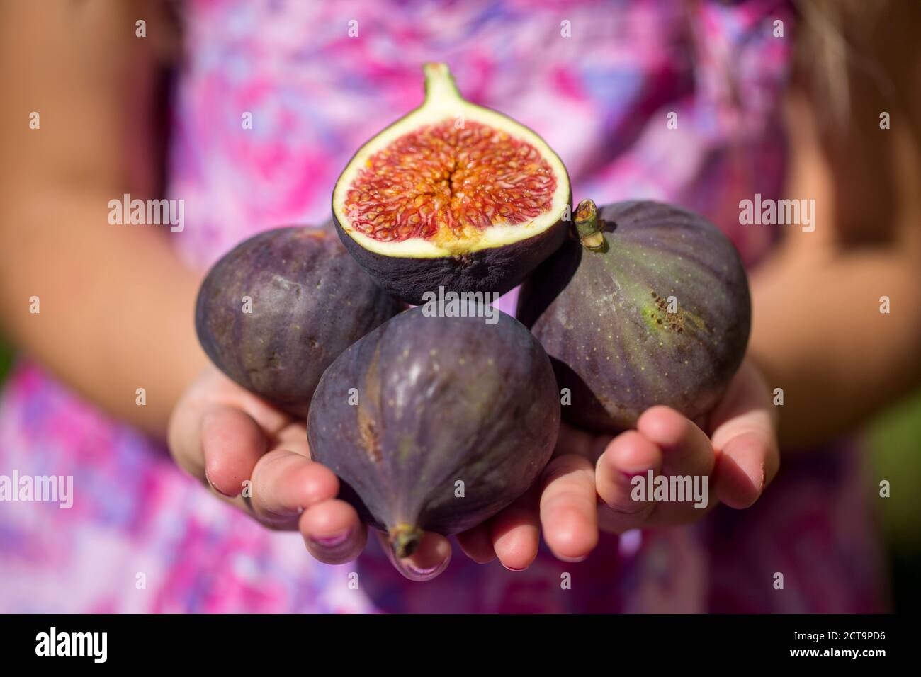 Child holding figs hires stock photography and images Alamy