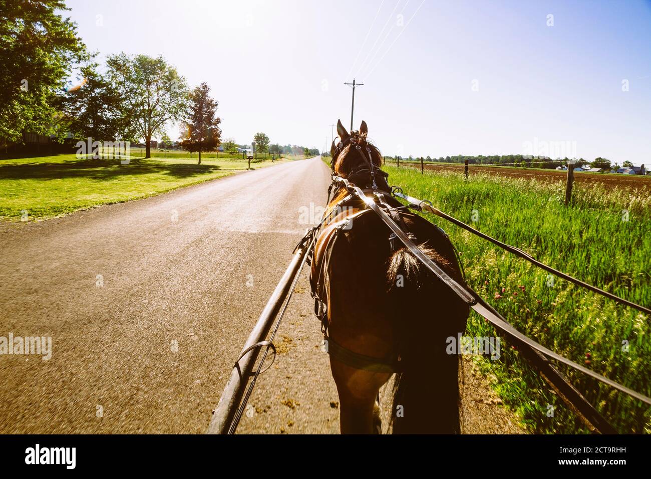 USA, Indiana, Shipshewana, Amish buggy and horse Stock Photo