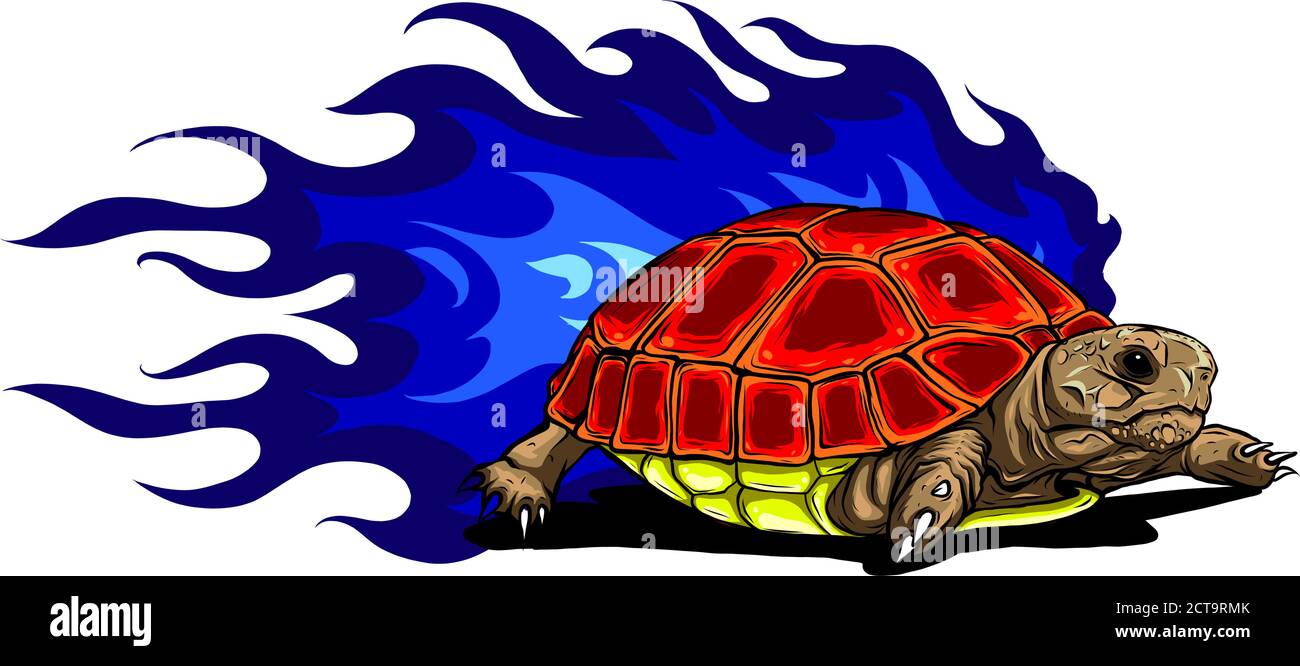 vector Illustration of Sulcata land tortoise design Stock Vector