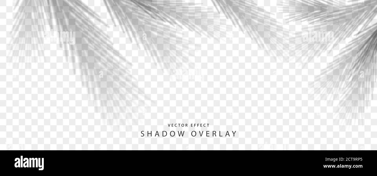 Shadow Overlay Effect Stock Vector