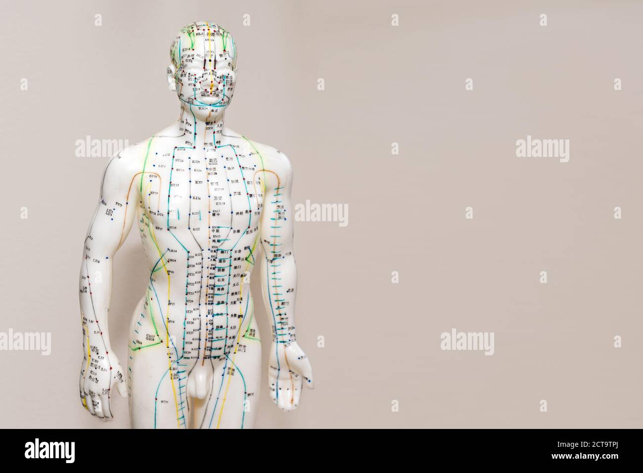 Oriental Medicine model in hospital. Plastic male acupuncture model ...