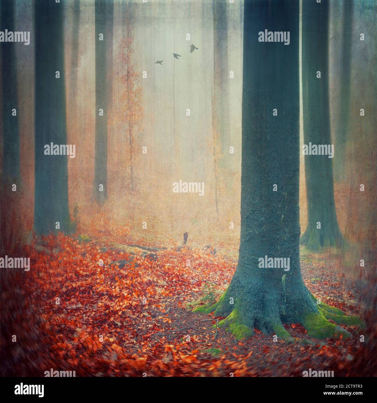 Autumn forest with red foliage covering the ground, digital alteration Stock Photo