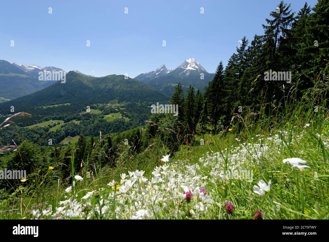 Germany, Bavaria, Berchtesgaden Alps, near by Ramsau, View to Watzmann and Hochkalter Stock Photo