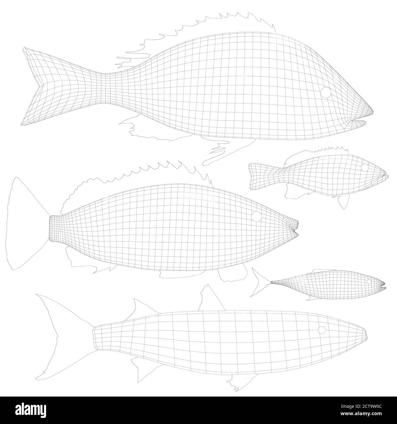 Set with wireframe of various fishes isolated on white background. 3D. Vector illustration Stock Vector