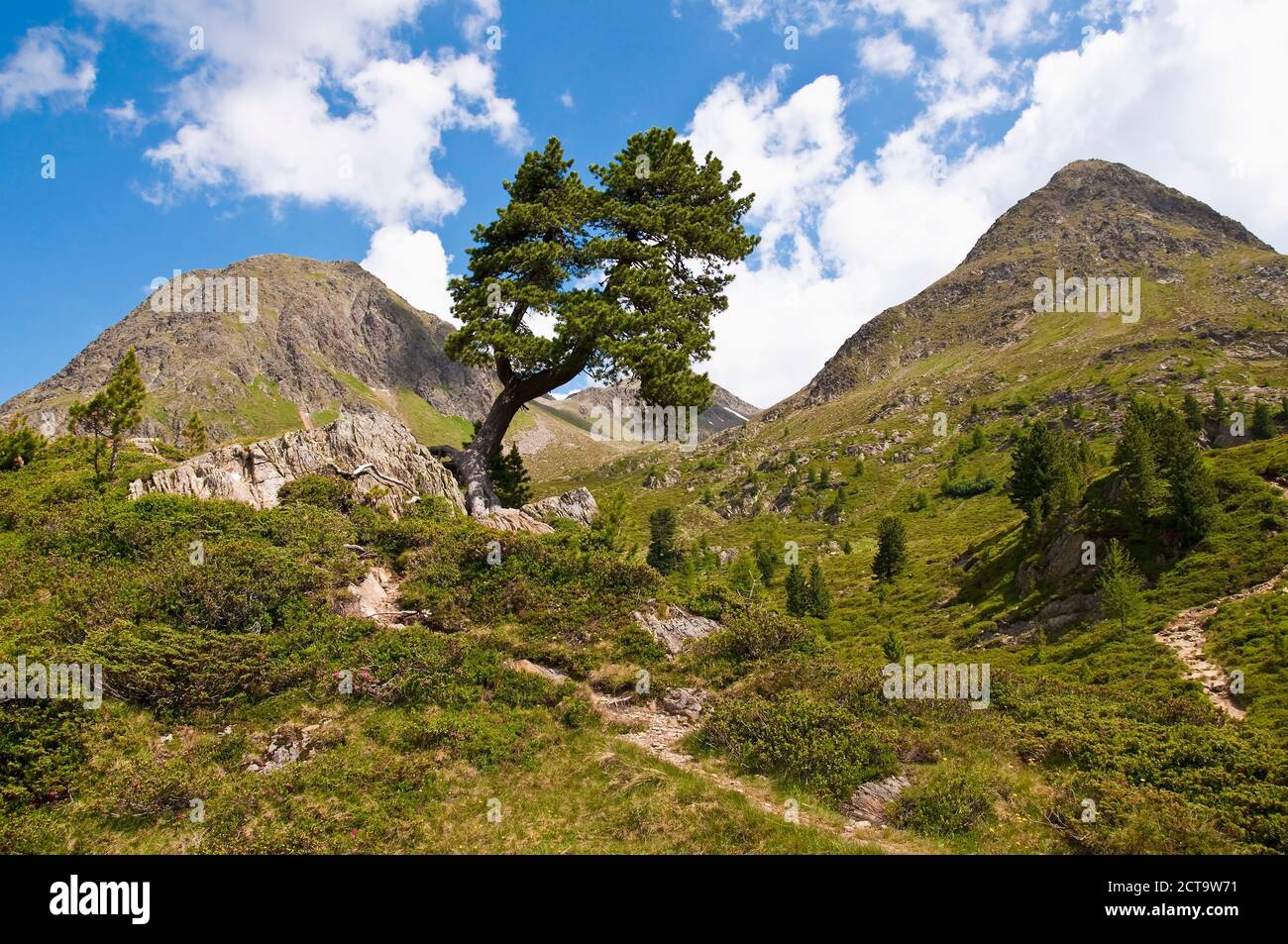 Italy, South Tyrol, Puster Valley, Antholz-Obertal, Staller Saddle Stock Photo