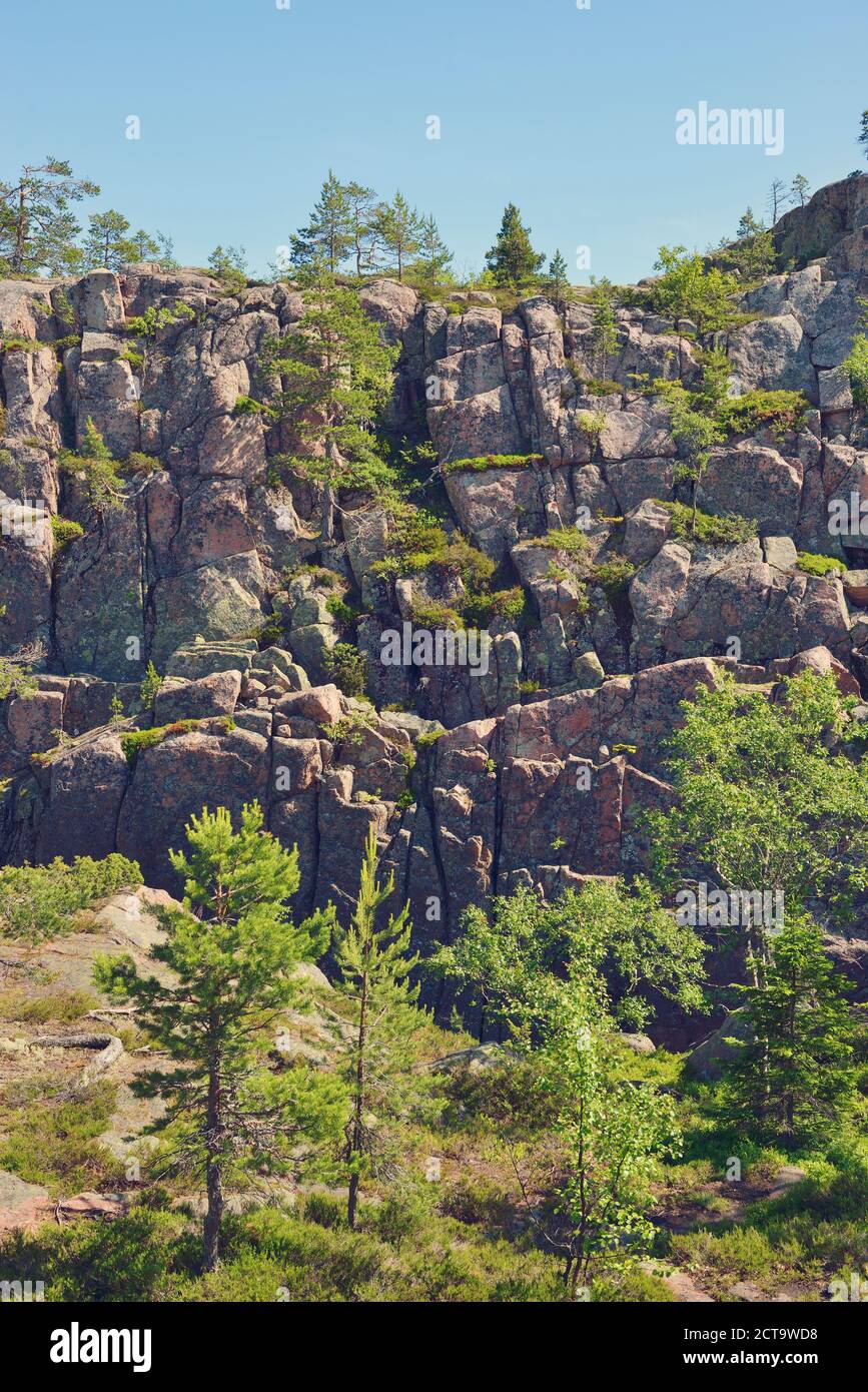 Sweden, Oernskoeldsvik, Skuleskogen National Park, Slattdalsberget Mountain Stock Photo
