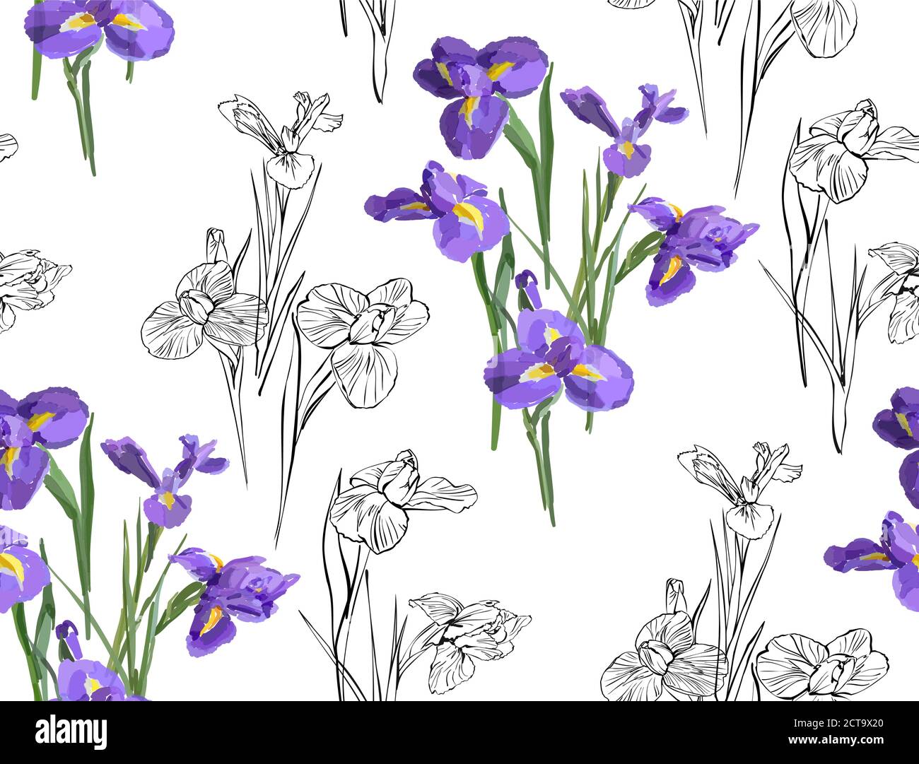 Irises flowers vector seamless background pattern hand drawn. Vector illustration. Textile design, wrapping paper. Stock Vector