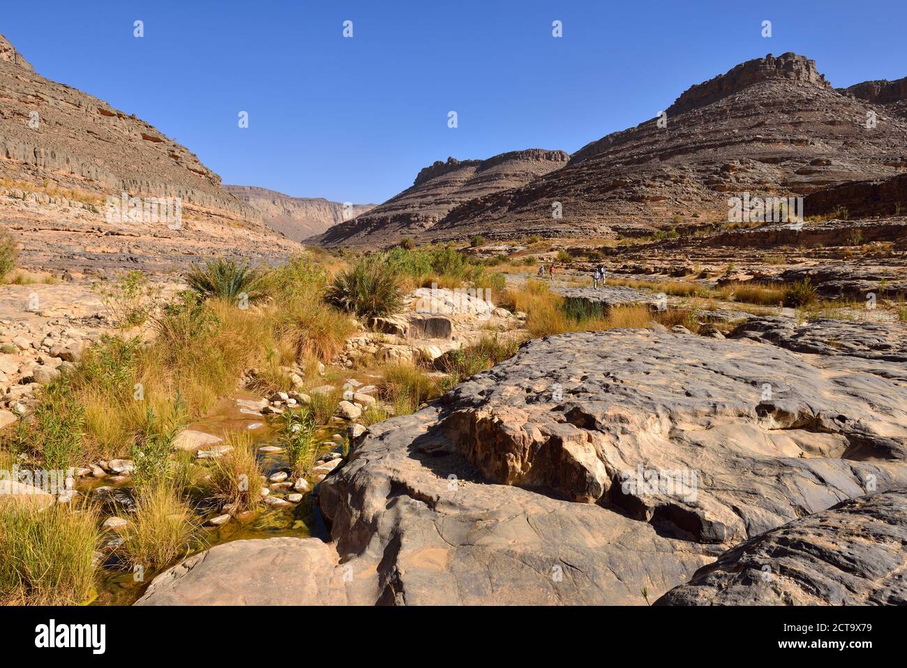 Africa, Algeria, Tassili N'Ajjer National Park, Iherir, people hiking near a guelta in Idaran Canyon Stock Photo
