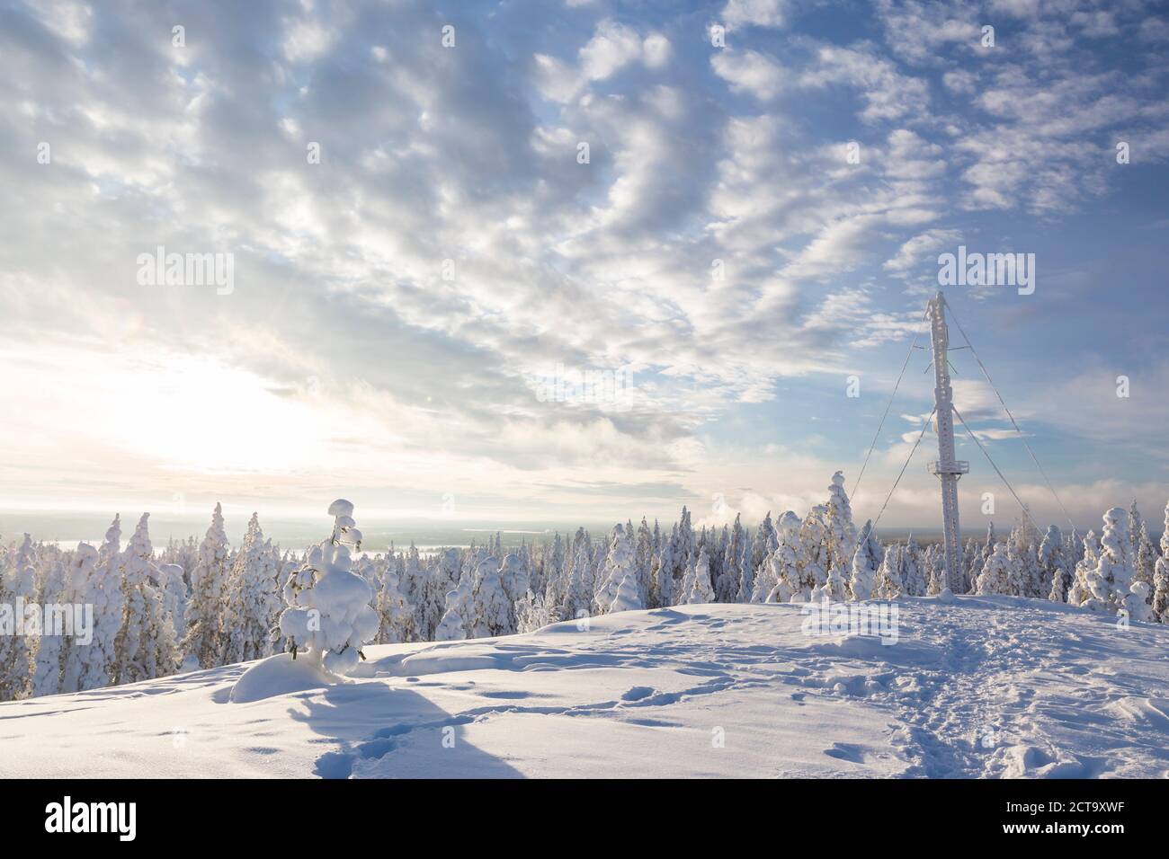 Scandinavia, Finland, Rovaniemi, Forest, Trees in wintertime, Aerial mast, Against the sun Stock Photo