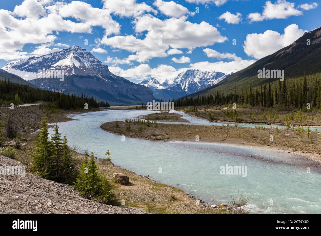 Canada, Alberta, Jasper National Park, Banff National Park, Icefields Parkway, mountain Tangle Ridge at Athabasca River Stock Photo