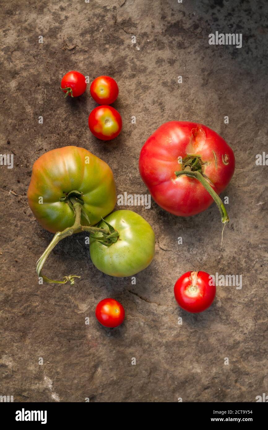 Oxheart tomatoes on stone surface Stock Photo