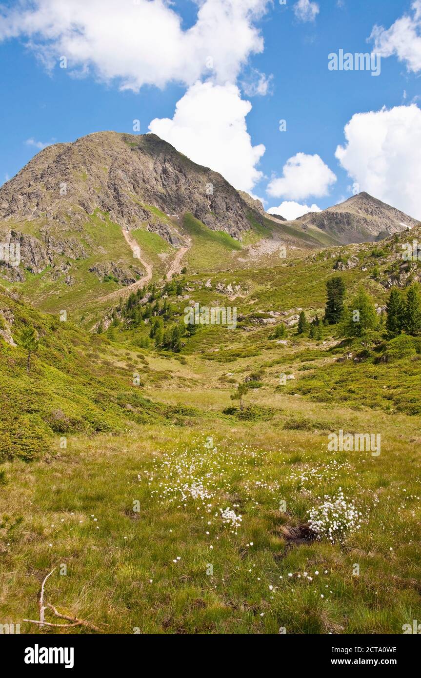 Italy, South Tyrol, Puster Valley, Antholz-Obertal, Staller Saddle, border to Austria Stock Photo