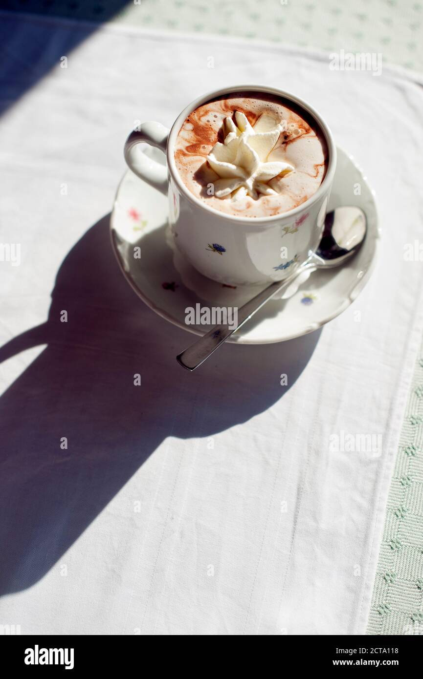 Hot chocolate in old-fashioned cup Stock Photo