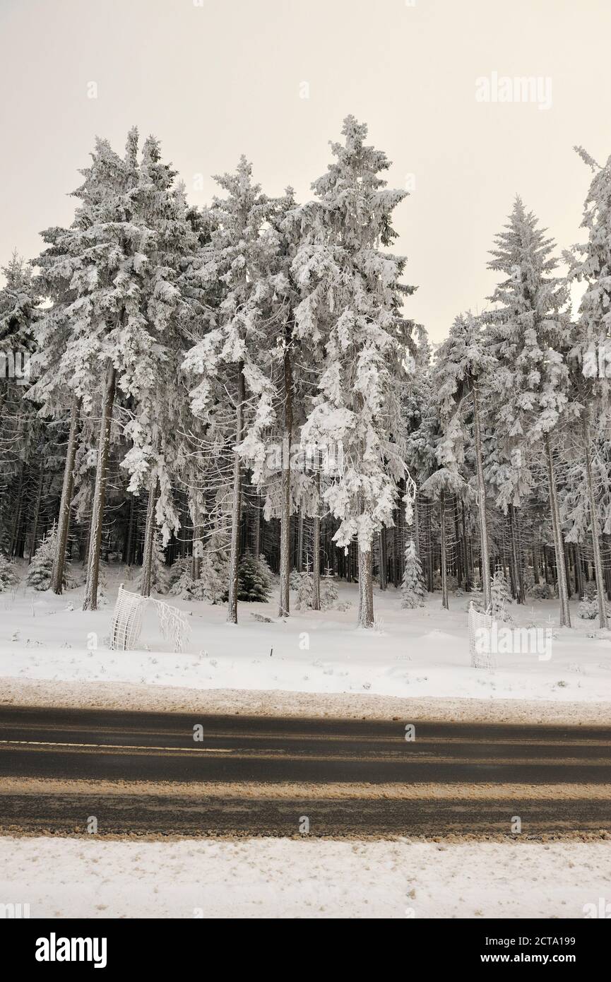 Germany, Thurinigia, Oberhof, Forest and road in winter Stock Photo